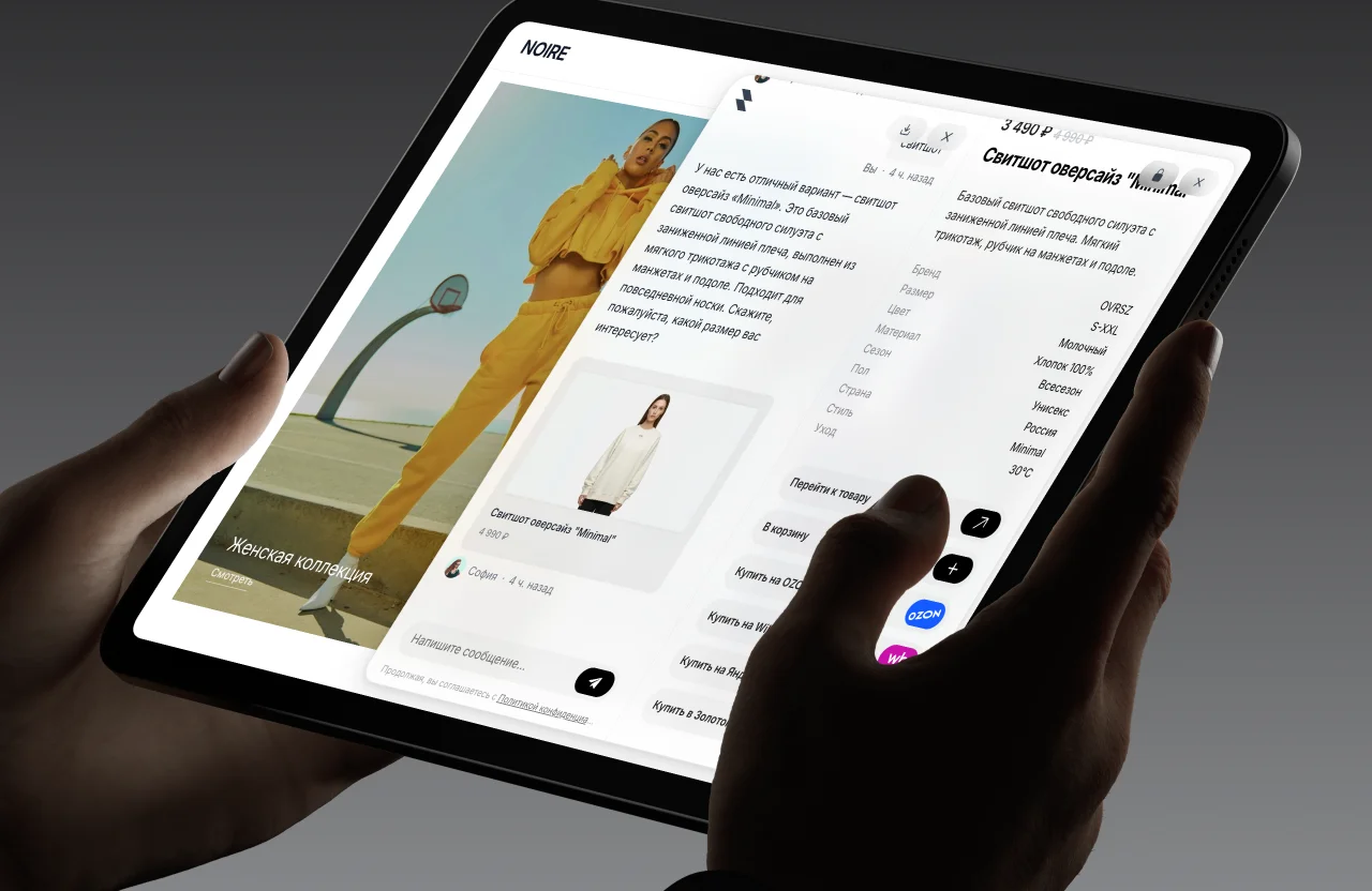 Parsewise customer 6