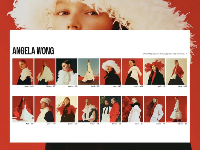 Scope, price, timeline