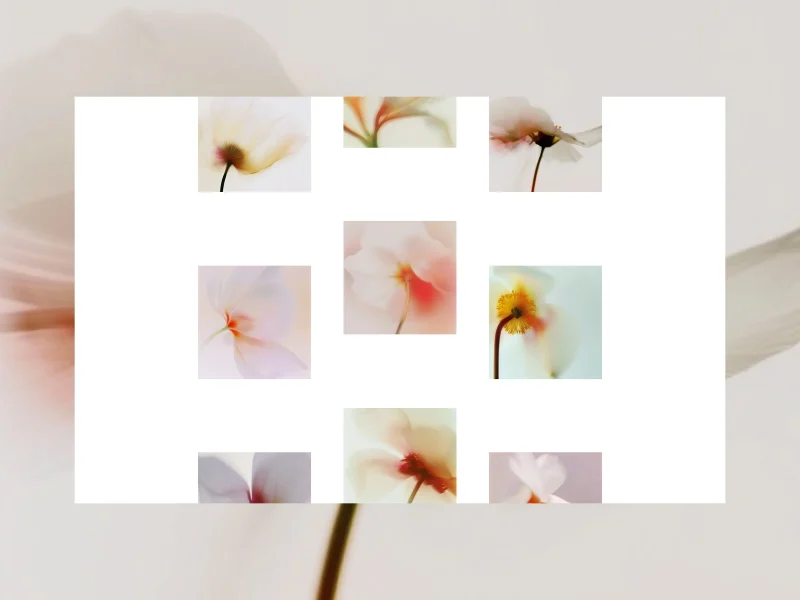 Step 1: Audit & plan